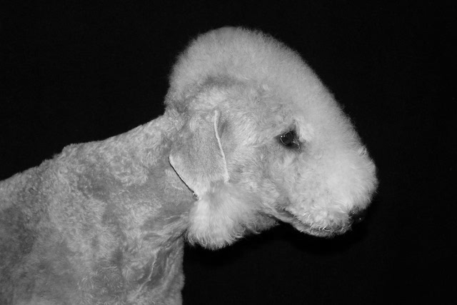 Alanna 02.03 (4).JPG